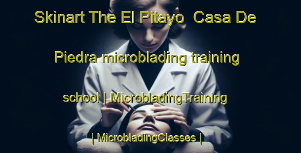 Skinart The El Pitayo  Casa De Piedra microblading training school | MicrobladingTraining | MicrobladingClasses | SkinartTraining-Mexico